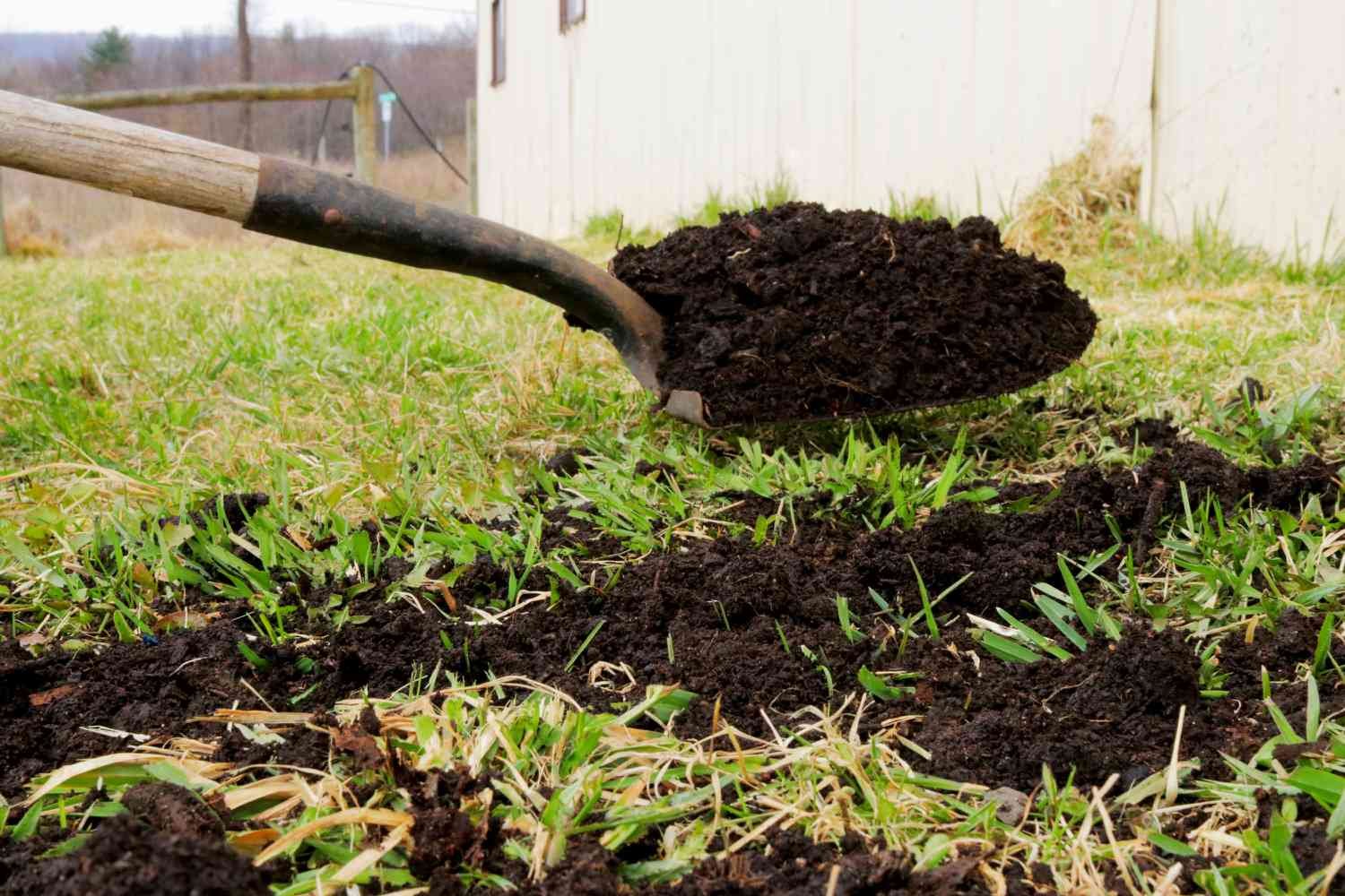 Compost añadido al césped para recebo con pala