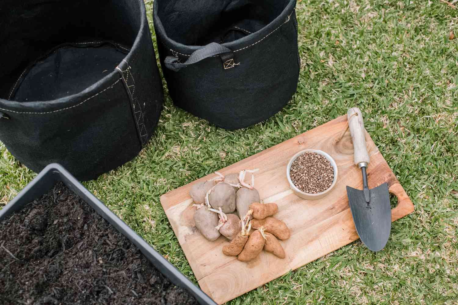 Materiales y herramientas para cultivar patatas en contenedores 